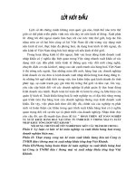 Hoàn thiện kế toán nghiệp vụ XK Hàng hóa tại Cty TNHH đầu tư TM và XNK tổng hợp Việt Khánh