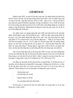 Phân tích chính sách phát triển kinh tế xã hội