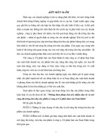 Những biện pháp chủ yếu nhằm duy trì và mở rộng thị trường TTSP ở Cty Cổ phần lâm sản Nam Định