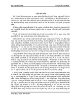 Một số Giải pháp chủ yếu nâng cao hiệu quả sử dụng vốn kinh doanh ở chi nhánh VN kỹ nghệ súc sản Vissan –Hà Nội