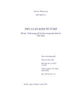 Tình trạng đô la hóa trong nền kinh tế Việt Nam