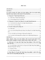 Giải pháp nâng cao hiệu quả huy động vốn tại Sở giao dịch Ngân hàng Nông nhiệp và Phát triển Nông thôn Việt Nam