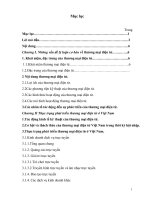 Thực trạng phát triển TM Điện tử ở VN