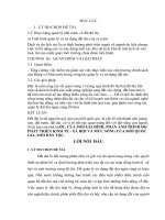 Một số vấn đề quản lý nhà nước về đất đô thị.