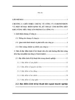 Một số giải pháp nhằm đẩy mạnh hoạt động tiêu thụ sản phẩm tại Cty Eurowindow