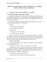 Thực trạng huy động vốn ở xí nghiệp xây lắp điện thuộc tổng công ty điện lực I