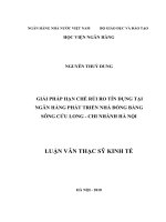 hạn chế rủi ro tín dụng tại Ngân hàng phát triển nhà Đồng bằng Sông Cửu Long - chi nhánh Hà Nội
