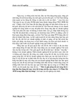 Một số giải pháp để mở rộng thị trường tiêu thụ hàng dệt may trên thị trường nội địa của Công ty cổ phần dệt 10/10 trong điều kiện hội nhập