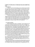 Những vấn đề chung công nghiệp hóa doanh nghiệp nhà nước