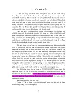 Vốn lưu động và Một số Giải pháp nhằm nâng cao hiệu quả sử dụng vốn lưu động của Doanh nghiệp