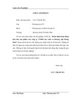 Hoàn thiện hoạt động tiêu thụ sản phẩm của công ty TNHH sản xuất và thương mại Hưng Phát