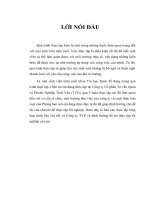 Báo cáo thực tập tại Công ty Cổ phần Tư vấn Quản trị Doanh Nghiệp Tinh Vân (TVE)