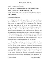 Báo cáo thực tập tại phòng giao dịch chính sách ngân hàng xã hội ( NHCSXH ) Huyện Đông Anh