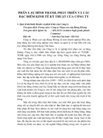 Báo cáo tổng hợp Công ty Nhựa cao cấp Hàng Không