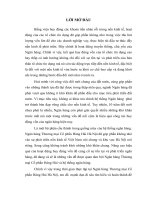 Các giải pháp nâng cao hiệu quả hoạt động huy động vốn tại Ngân hàng Thương mại Cổ phần Hàng Hải Hà Nội