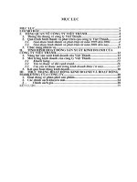 Tình hình hoạt động sản xuất kinh doanh của Công ty Việt Thành