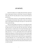 1 vài giải pháp nhằm nâng cao khả năng cạnh tranh của C.ty ELECTROLUX trên thị trường Việt Nam