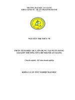 Phân tích hiệu quả tín dụng tại Ngân hàng TMCP Sài Gòn Thương Tín Chi nhánh - An Giang phần 2