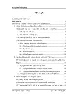 Tình trạng nghèo đói của đồng bào dân tộc thiểu số ở nước ta trong những năm gần đây và một số kiến nghị đối với công tác xóa đói giảm nghèo ở vùng núi của Nhà nước