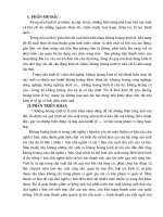 Thực trạng năng lực cung cấp dịch vụ tư vấn cho các Dự án phát triển