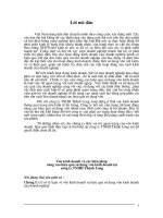 Vốn kinh doanh và các biện pháp nâng cap hiệu quả sử dụng vốn kinh doanh tại Công ty TNHH Thành Long