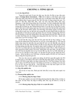 Tình hình đầu tư trực tiếp nước ngoài vào Viêt Nam giai đoạn 1996 – 2005