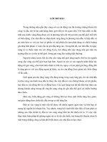 Định giá quyền chọn vàng – thêm một công cụ để phòng ngừa rủi ro trong kinh doanh vàng