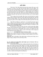 Thực trạng và Một số biện pháp nâng cao hiệu quả sử dụng Vốn lưu động ở Công ty Dụng cụ Cắt và Đo lưêng Cơ khí