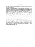 Một số giải pháp và kiến nghị về quyền và nghĩa vụ sử dụng đất đai.doc