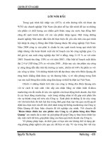 Hoàn thiện chiến lược sản phẩm của Công ty cổ phần bóng đèn Điện Quang