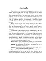 Một số biên pháp nhằm nâng cao hiệu quả sử dụng vốn tại Công ty dược phẩm và thiết bị y tế Hà Nội