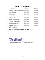 Thực trạng Đôla hóa ở Việt Nam hiện nay.