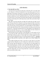 Giải pháp nâng cao hiệu quả đầu tư trực tiếp ra nước ngoài của các Doanh Nghiệp Việt Nam