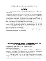 Nâng cao hiệu quả xuất khẩu hàng hoá của việt nam