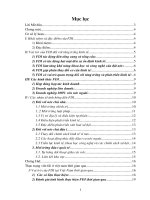 Thu hút vốn đầu tư trực tiếp nước ngoài của các doanh nghiệp VN – thực trạng và giải pháp