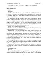 Thực trạng thẩm định DAĐT tại NHNT VN