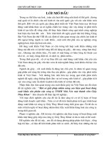 Một số Giải pháp nhằm nâng cao hiệu quả hoạt động XK sản phẩm của Cty TNHH Nhà Nước một thành viên Giầy Thụy Khuê