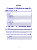 Đánh Giá Tình Hình Hoạt Động Kinh Doanh SCB Hà Nội