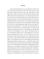 Quản lý của Nhà nước đối với các Công ty phát hành Chứng khoán ở Việt Nam