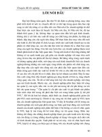 Hoàn thiện hạch toán nguyên liệu, vật liệu với việc nâng cao hiệu quả sử dụng vốn lưu động trong Sản xuất kinh doanh tại Công ty TNHH Gốm sứ Bát Tràng