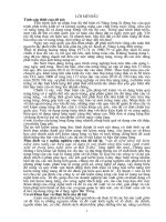 Tiết kiệm năng lượng & nâng cao hiệu quả sử dụng lò gas nhằm tăng khả năng cạnh tranh gốm sứ trong