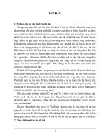 Thực trạng việc làm trong lao động nông nghiệp, Nông thôn nước ta những năm qua