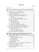 Một số giải pháp thực hiện chiến lược phát triển ngành điện lực giai đoạn 2001 -2010