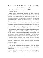 Thực trạng các hình thức đầu tư trực tiếp nước ngoài tại VN