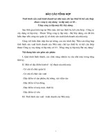 Tại Nhà máy chế tạo thiết bị kết cấu thép thuộc Công ty Xây dựng & lắp máy số 10- Tổng Công ty lắp máy Bộ xây dựng