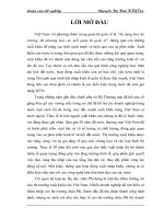 Thực trạng và giải pháp xuất khẩu hàng hoá Việt Nam sang thị trường châu Phi