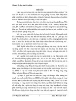 Đánh giá tác động của đầu tư trực tiếp nước ngoài tới phát triển kinh tế xã hội vùng Đồng bằng sông Hồng