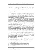 Đánh giá hiệu quả sử dụng nguồn vốn của Công ty TNHH Cơ Khí Kiên Giang phần 1