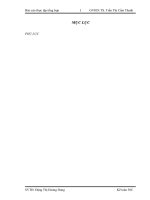 Tình hình thực tế công tác hạch toán của các thành phần cụ thể tại công ty cổ phần GALI