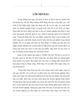 Hoàn thiện kế toán tiêu thụ hàng hoá tại công ty TNHH TM HÀ THI